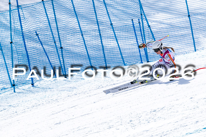 NC + NJC DH ,Frauen + Männer Axamer Lizum 25.03.2026