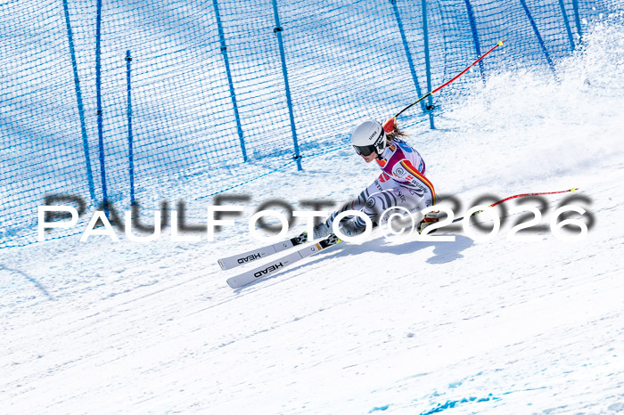 NC + NJC DH ,Frauen + Männer Axamer Lizum 25.03.2026