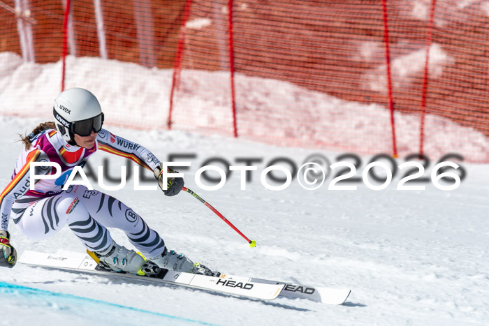 NC + NJC DH ,Frauen + Männer Axamer Lizum 25.03.2026