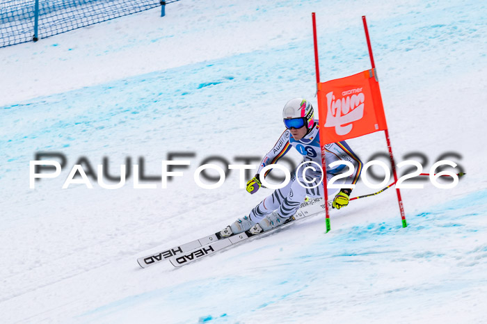 NC + NJC DH ,Frauen + Männer Axamer Lizum 25.03.2026