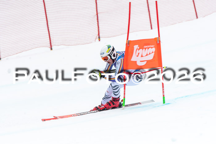 NC + NJC DH ,Frauen + Männer Axamer Lizum 25.03.2026