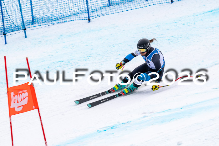 NC + NJC DH ,Frauen + Männer Axamer Lizum 25.03.2026