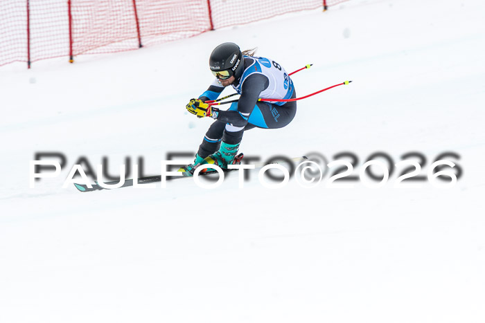 NC + NJC DH ,Frauen + Männer Axamer Lizum 25.03.2026