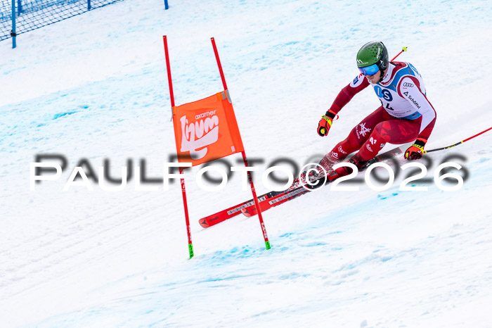 NC + NJC DH ,Frauen + Männer Axamer Lizum 25.03.2026