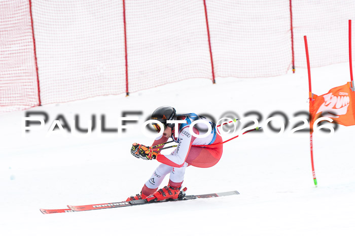 NC + NJC DH ,Frauen + Männer Axamer Lizum 25.03.2026