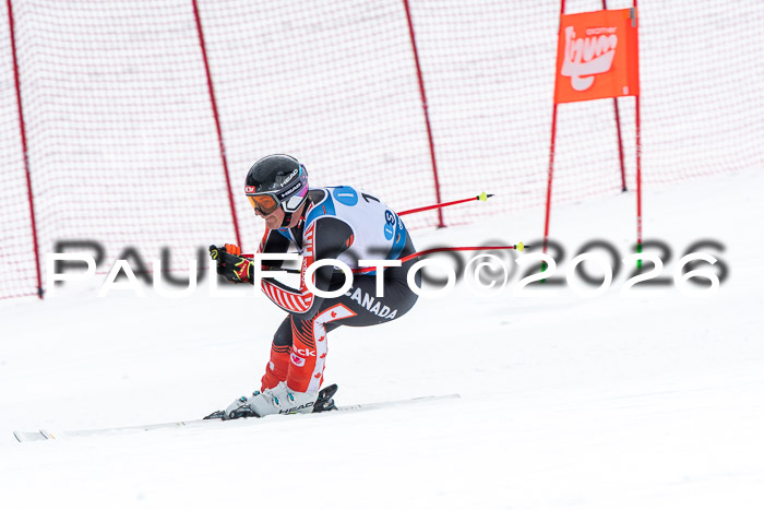 NC + NJC DH ,Frauen + Männer Axamer Lizum 25.03.2026