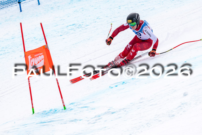 NC + NJC DH ,Frauen + Männer Axamer Lizum 25.03.2026