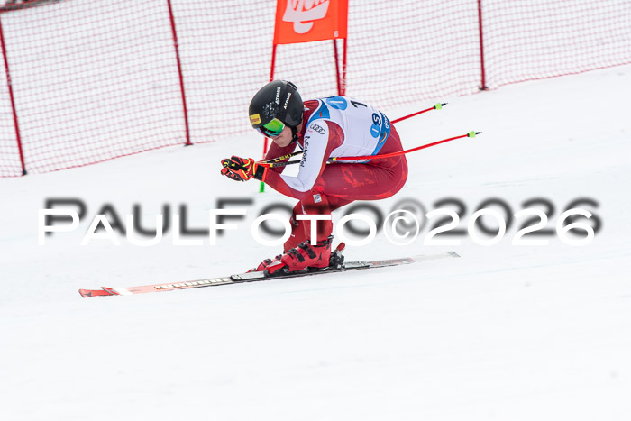 NC + NJC DH ,Frauen + Männer Axamer Lizum 25.03.2026