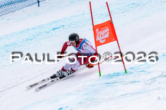 NC + NJC DH ,Frauen + Männer Axamer Lizum 25.03.2026