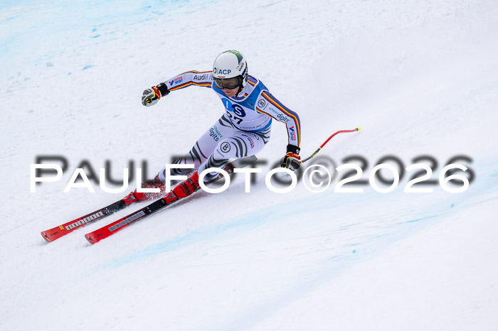 NC + NJC DH ,Frauen + Männer Axamer Lizum 25.03.2026