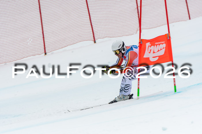 NC + NJC DH ,Frauen + Männer Axamer Lizum 25.03.2026