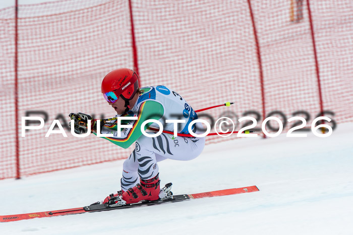 NC + NJC DH ,Frauen + Männer Axamer Lizum 25.03.2026