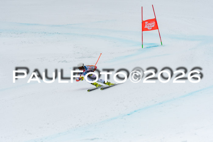 NC + NJC DH ,Frauen + Männer Axamer Lizum 25.03.2026