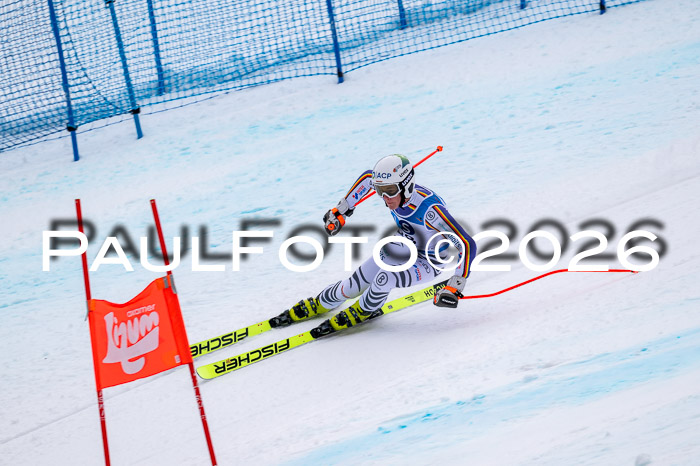 NC + NJC DH ,Frauen + Männer Axamer Lizum 25.03.2026