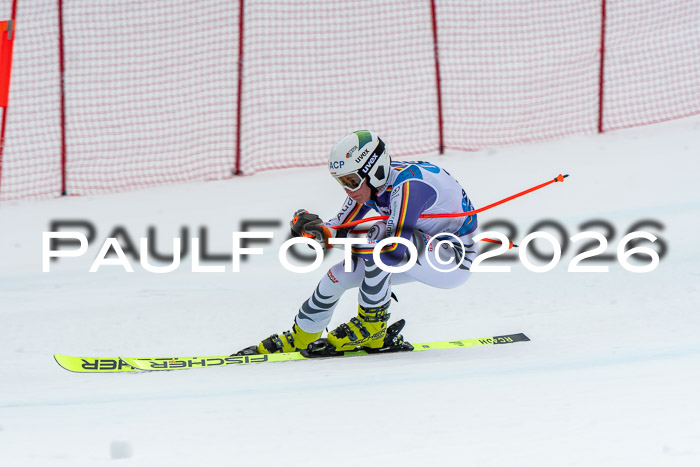 NC + NJC DH ,Frauen + Männer Axamer Lizum 25.03.2026