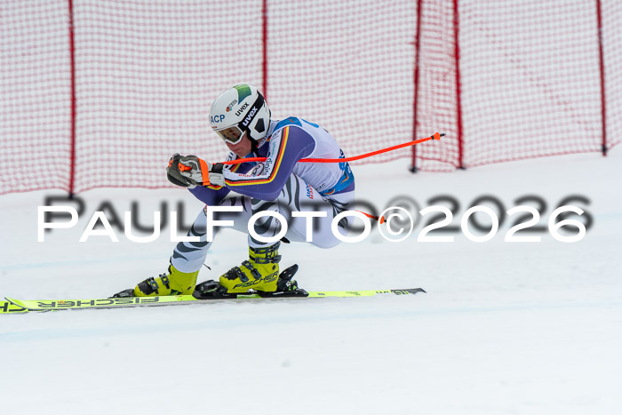 NC + NJC DH ,Frauen + Männer Axamer Lizum 25.03.2026