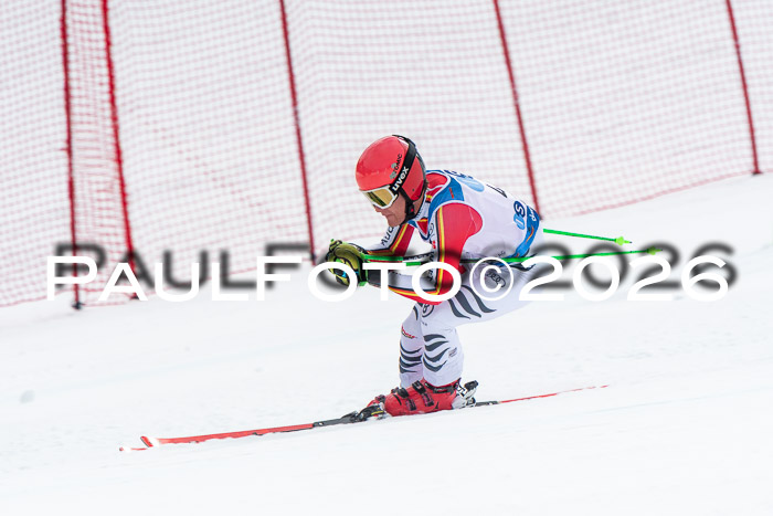 NC + NJC DH ,Frauen + Männer Axamer Lizum 25.03.2026