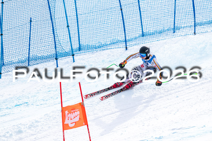 NC + NJC DH ,Frauen + Männer Axamer Lizum 25.03.2026