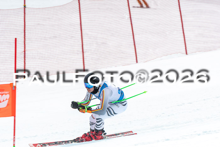 NC + NJC DH ,Frauen + Männer Axamer Lizum 25.03.2026