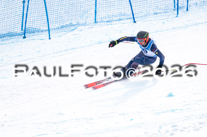 NC + NJC DH ,Frauen + Männer Axamer Lizum 25.03.2026