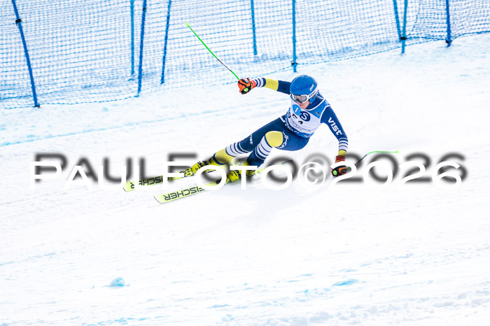 NC + NJC DH ,Frauen + Männer Axamer Lizum 25.03.2026