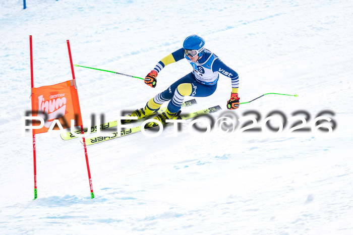 NC + NJC DH ,Frauen + Männer Axamer Lizum 25.03.2026