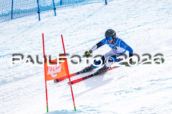 NC + NJC DH ,Frauen + Männer Axamer Lizum 25.03.2026