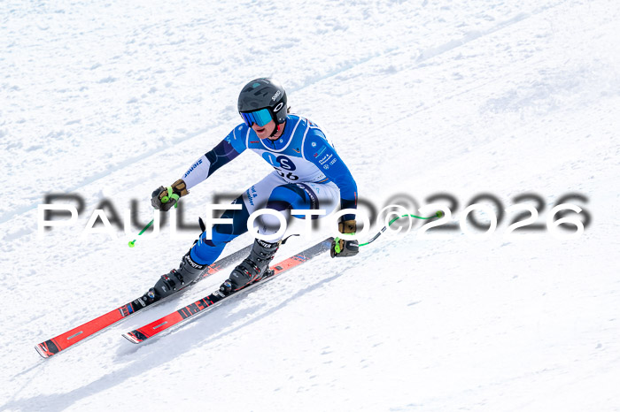 NC + NJC DH ,Frauen + Männer Axamer Lizum 25.03.2026