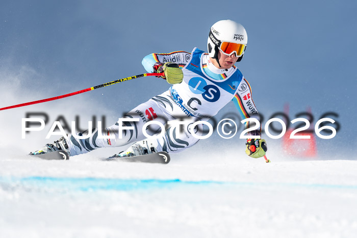 NC + NJC DH ,Frauen + Männer Axamer Lizum 25.03.2026