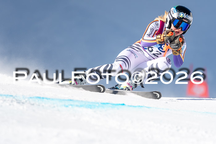 NC + NJC DH ,Frauen + Männer Axamer Lizum 25.03.2026