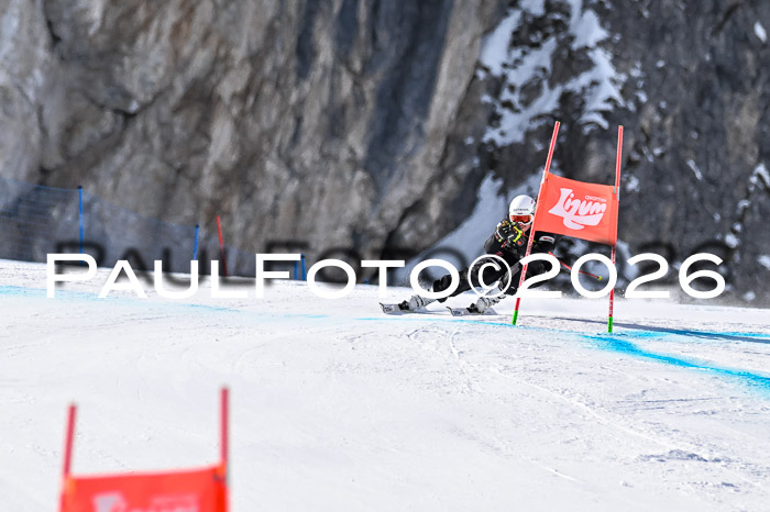 NC + NJC DH ,Frauen + Männer Axamer Lizum 25.03.2026