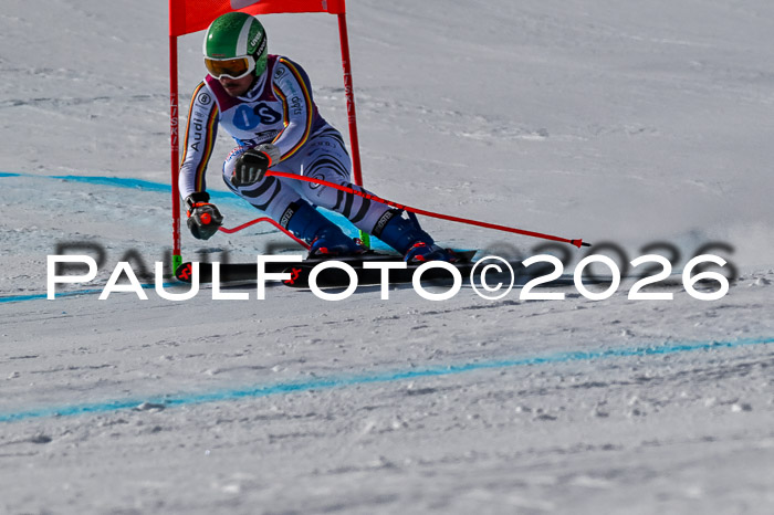 NC + NJC DH ,Frauen + Männer Axamer Lizum 25.03.2026