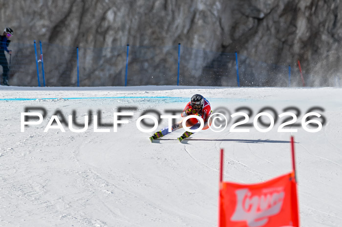 NC + NJC DH ,Frauen + Männer Axamer Lizum 25.03.2026