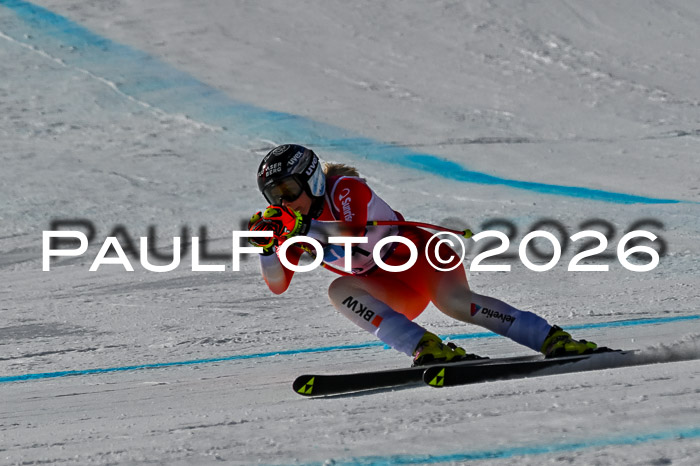 NC + NJC DH ,Frauen + Männer Axamer Lizum 25.03.2026