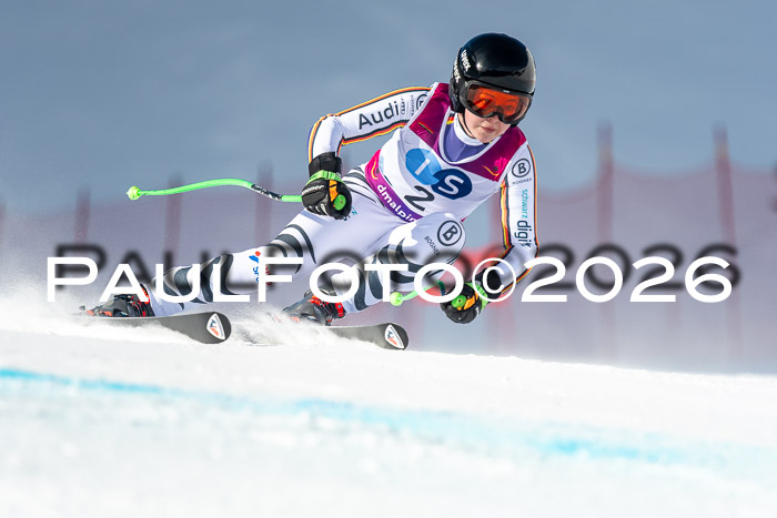 NC + NJC DH ,Frauen + Männer Axamer Lizum 25.03.2026