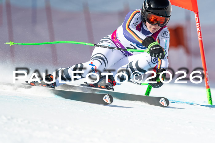 NC + NJC DH ,Frauen + Männer Axamer Lizum 25.03.2026