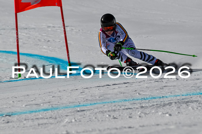 NC + NJC DH ,Frauen + Männer Axamer Lizum 25.03.2026