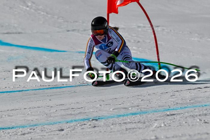 NC + NJC DH ,Frauen + Männer Axamer Lizum 25.03.2026