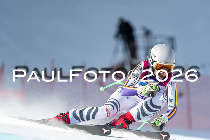 NC + NJC DH ,Frauen + Männer Axamer Lizum 25.03.2026