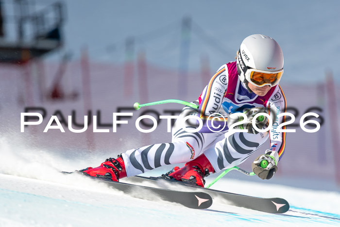 NC + NJC DH ,Frauen + Männer Axamer Lizum 25.03.2026