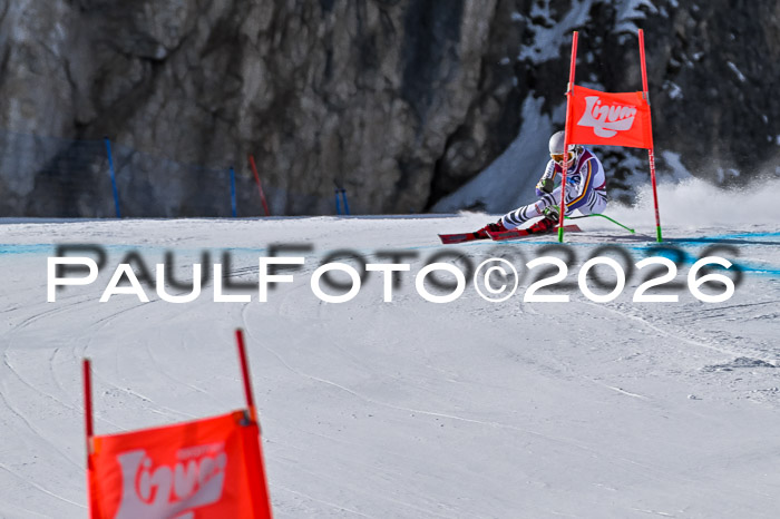 NC + NJC DH ,Frauen + Männer Axamer Lizum 25.03.2026