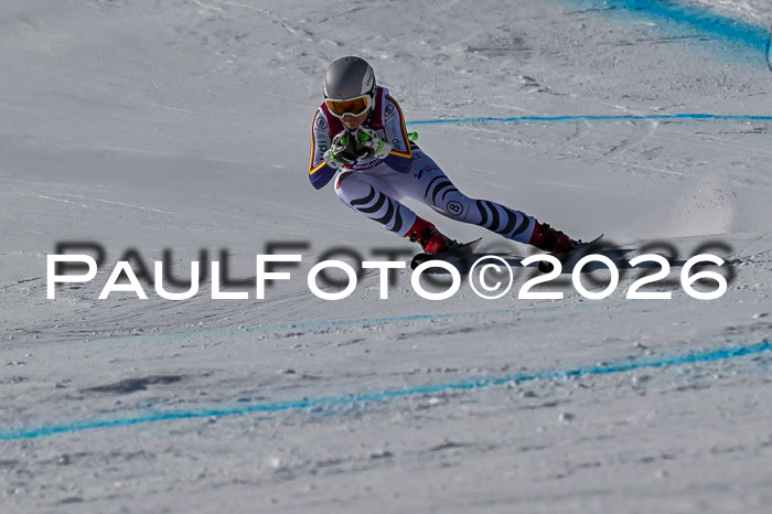 NC + NJC DH ,Frauen + Männer Axamer Lizum 25.03.2026