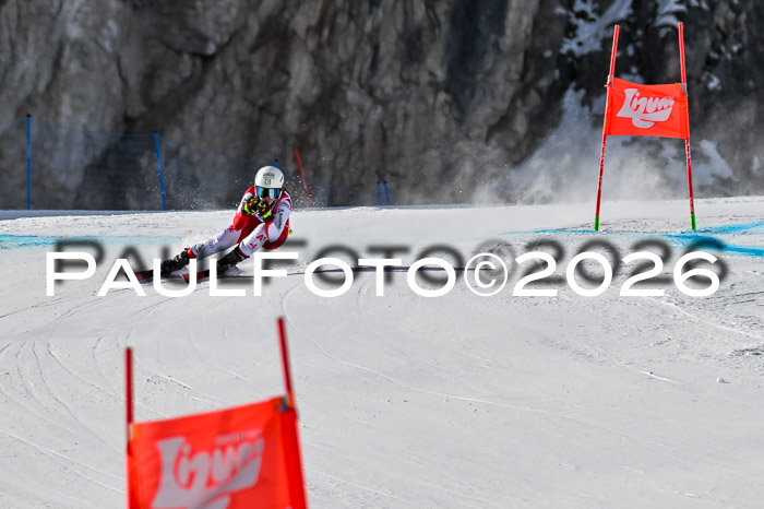 NC + NJC DH ,Frauen + Männer Axamer Lizum 25.03.2026