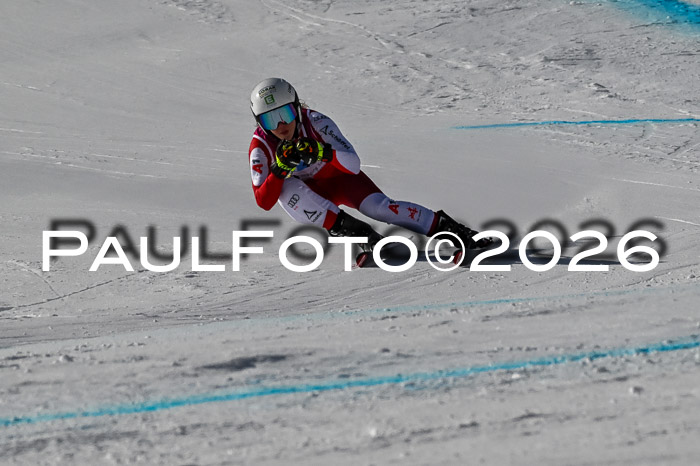 NC + NJC DH ,Frauen + Männer Axamer Lizum 25.03.2026