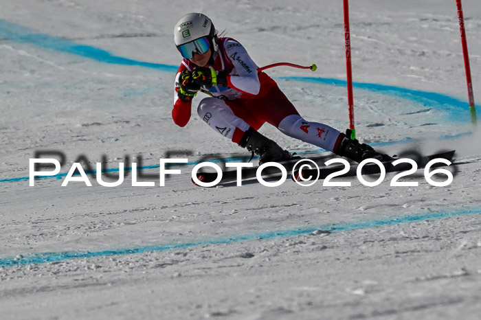 NC + NJC DH ,Frauen + Männer Axamer Lizum 25.03.2026