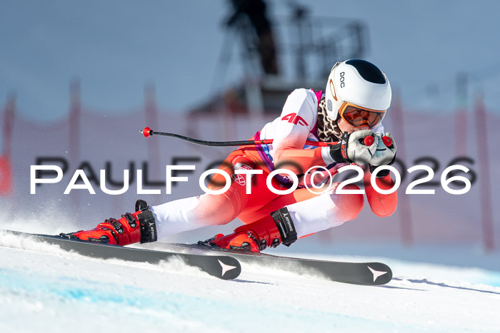 NC + NJC DH ,Frauen + Männer Axamer Lizum 25.03.2026