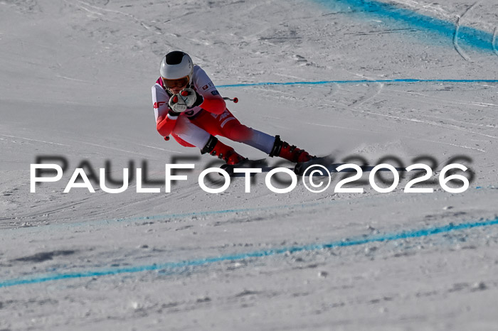 NC + NJC DH ,Frauen + Männer Axamer Lizum 25.03.2026