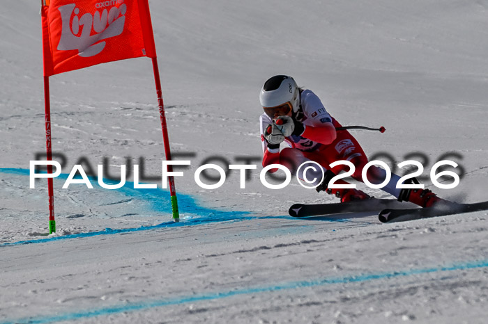 NC + NJC DH ,Frauen + Männer Axamer Lizum 25.03.2026