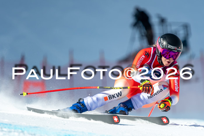 NC + NJC DH ,Frauen + Männer Axamer Lizum 25.03.2026