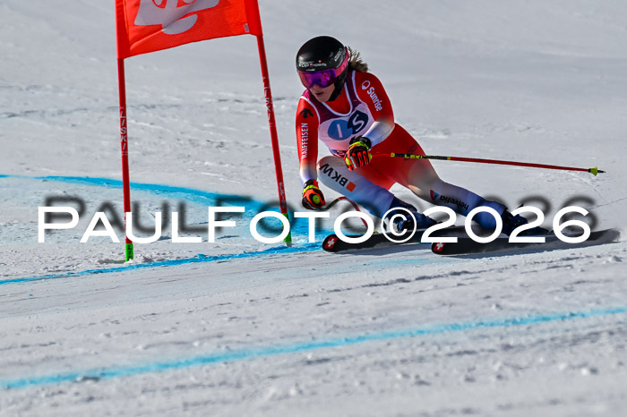 NC + NJC DH ,Frauen + Männer Axamer Lizum 25.03.2026